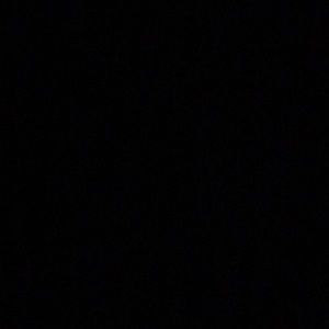 Meet your Posher, Shayla